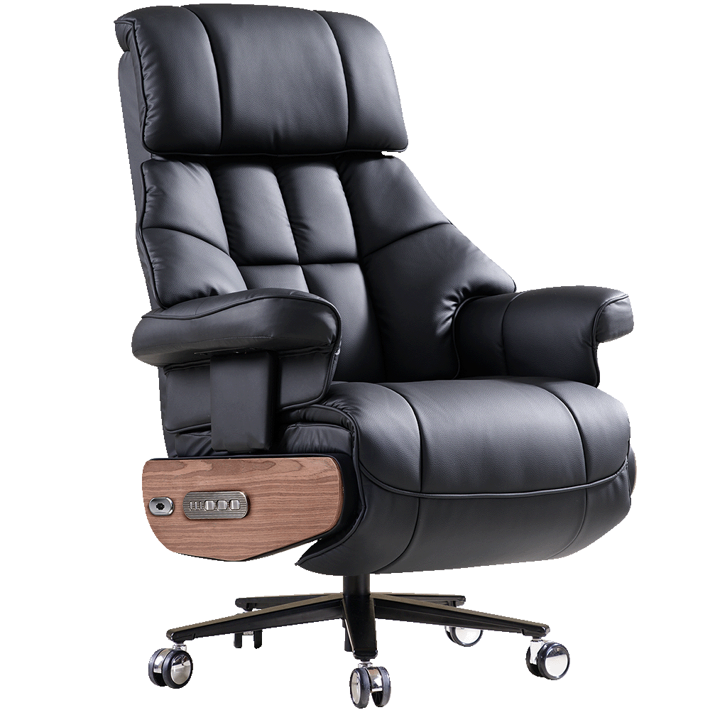 EMIAH S9 Electric Executive Office Chair